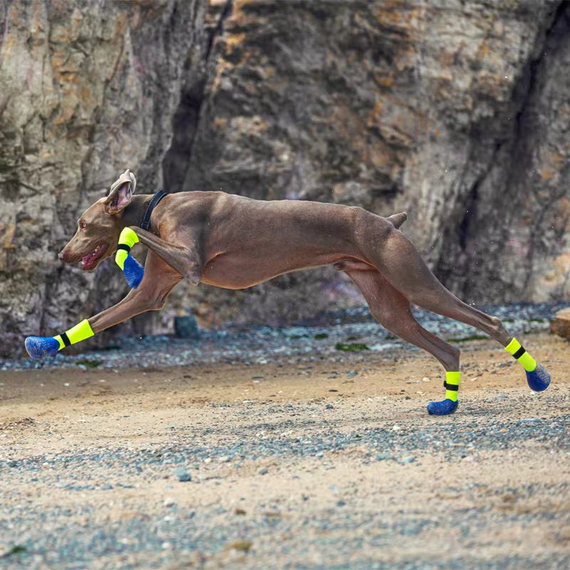 Pataprotege: Sapatos Impermeáveis para Cães - Proteção Essencial para Suas Aventuras ao Ar Livre!