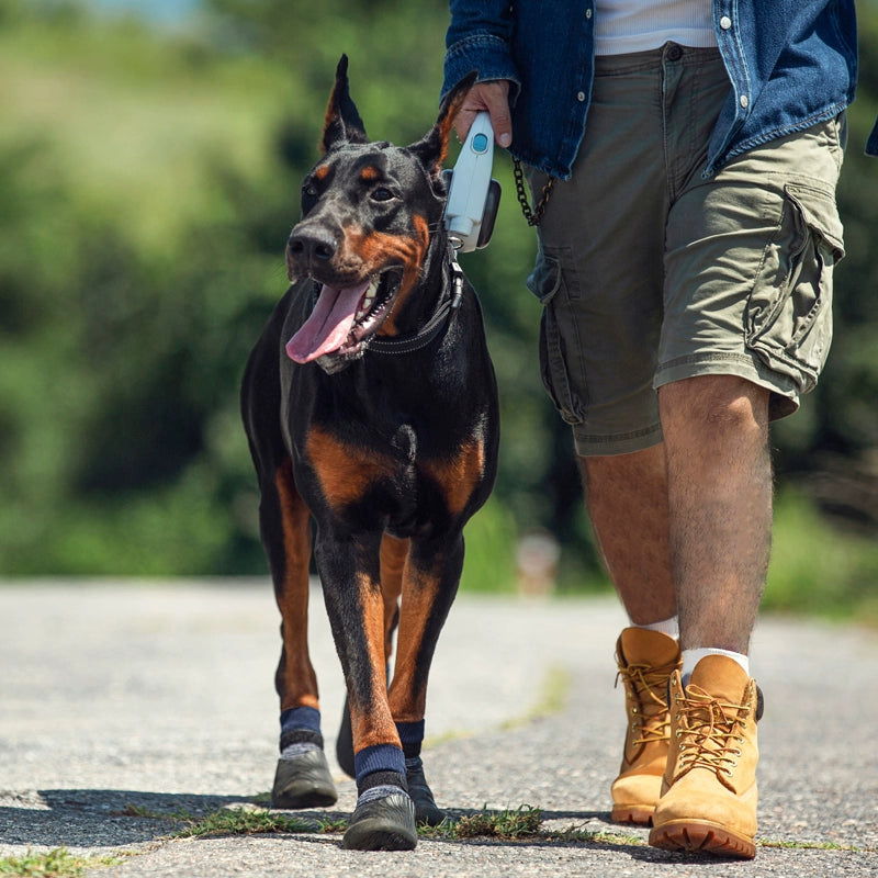 Pataprotege: Sapatos Impermeáveis para Cães - Proteção Essencial para Suas Aventuras ao Ar Livre!