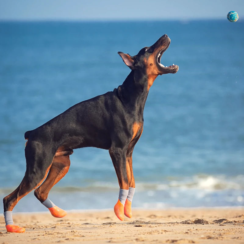 Pataprotege: Sapatos Impermeáveis para Cães - Proteção Essencial para Suas Aventuras ao Ar Livre!